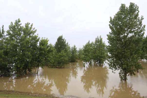 1595988143365864.png 57J[8(81PNIPZ~258EGN[EN.png