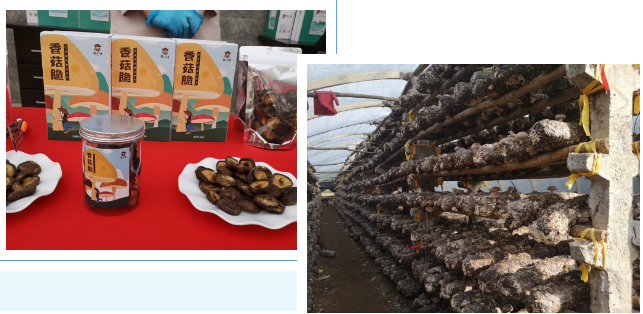 1603183268439098.png $R%%O~CBOD%RUQHM)3KDQUW.png