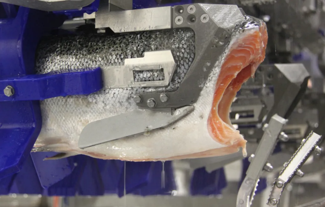 1603184055304002.png 8G_SOLPE8RDJ)RUT@R@TX_A.png