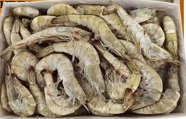 1732238711516244.jpg 1732238711516244.jpg