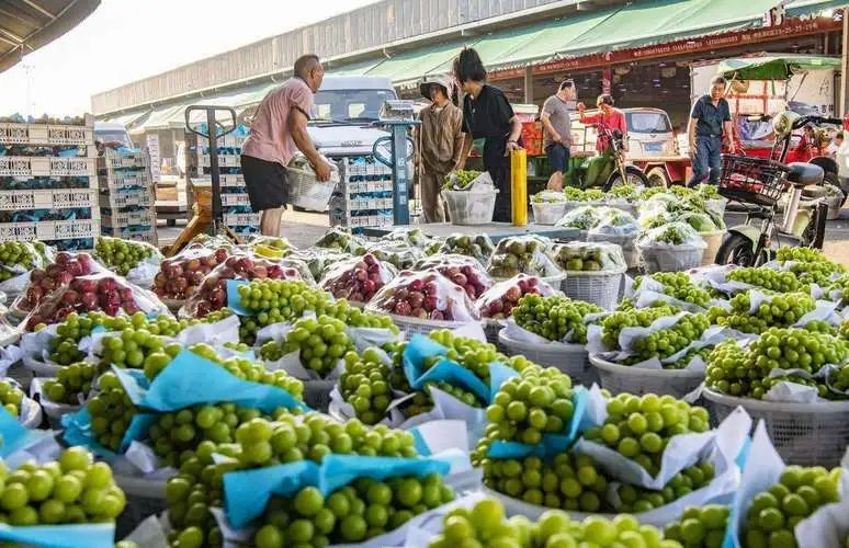 1732238815454759.jpg 1732238815454759.jpg