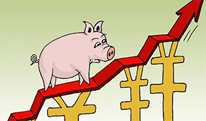 牧原、溫氏、新希望…業績大漲，扭虧為盈，豬企龍頭集體走出“至暗時刻”？