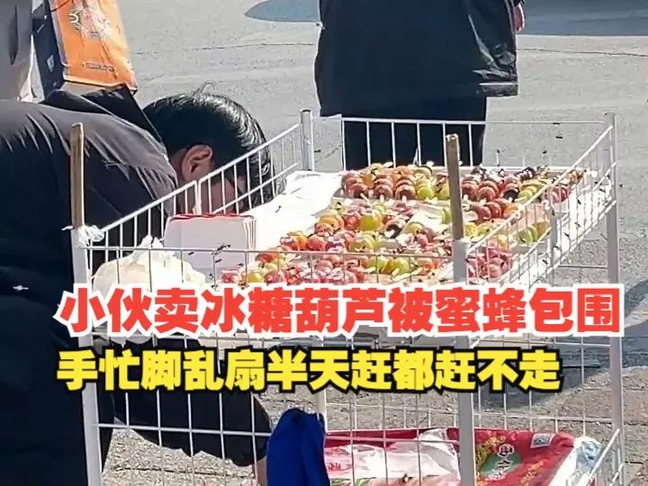 1740100879372295.jpg 1740100879372295.jpg