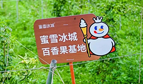 今日上市！覆蓋全球六大洲38個國家，“雪王”的采購網到底有多牛？