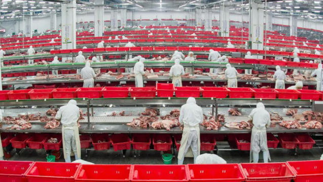 金鑼、郯潤(rùn)、齊匯、瑞發(fā)德、喜姐炸串……山東臨沂“食力派”全鏈發(fā)力、高質(zhì)躍升